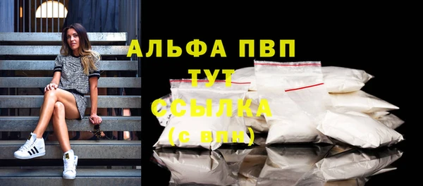 эйфоретик Беломорск