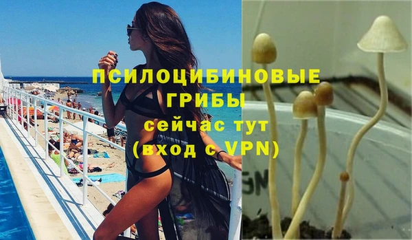 эйфоретик Беломорск